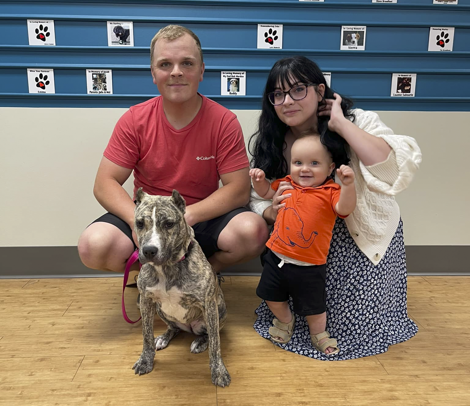 Adult Dog Adopted 1