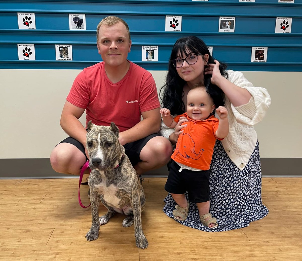 Adult Dog Adopted 1