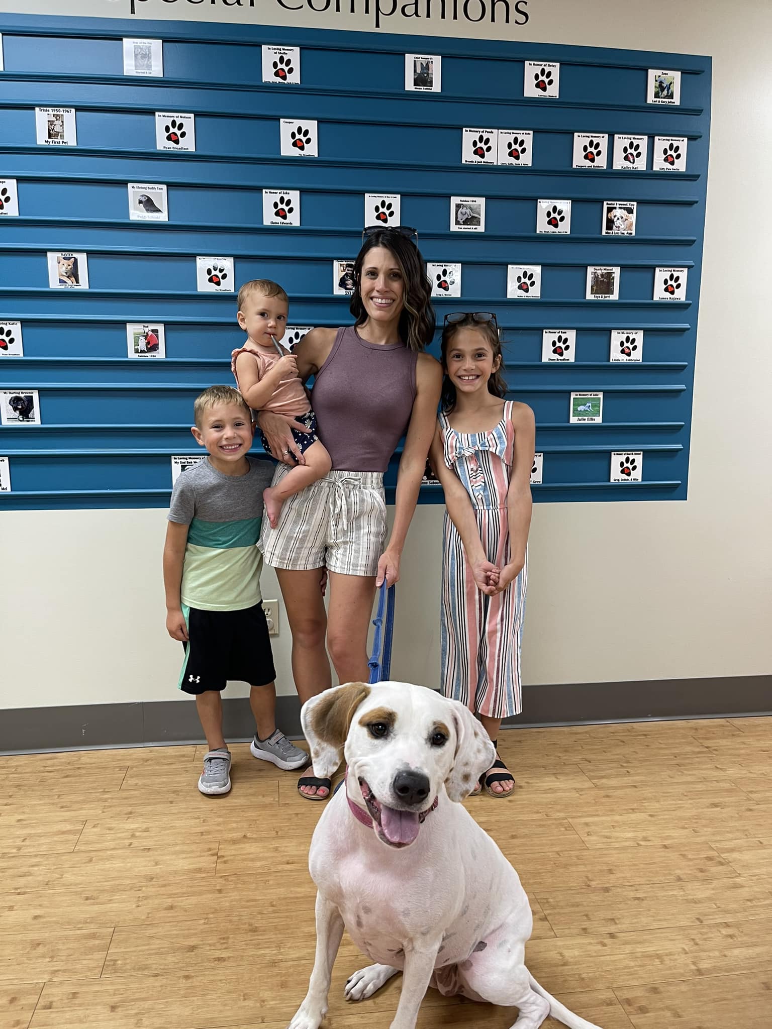 Young family adopting adult dog