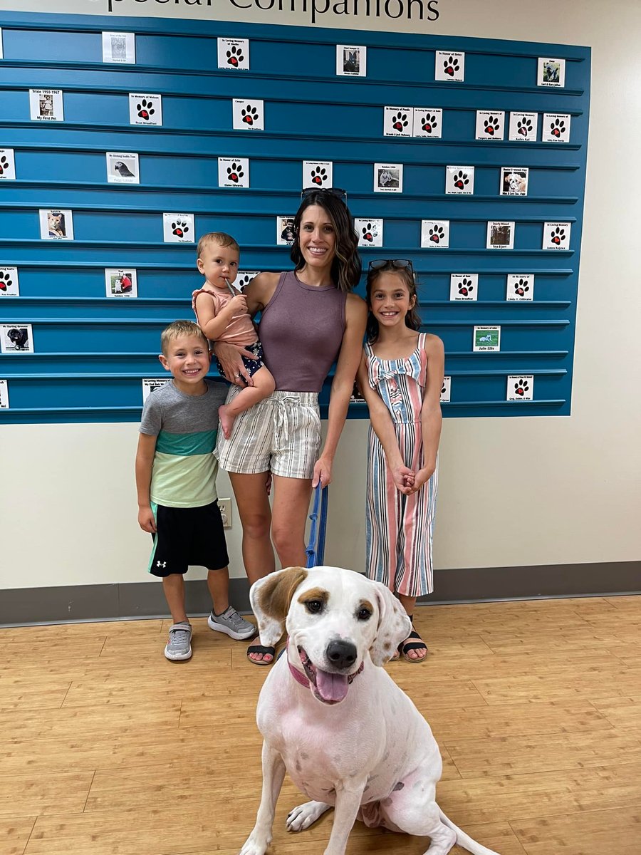 Young family adopting adult dog